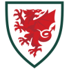 Fotballdrakt Wales